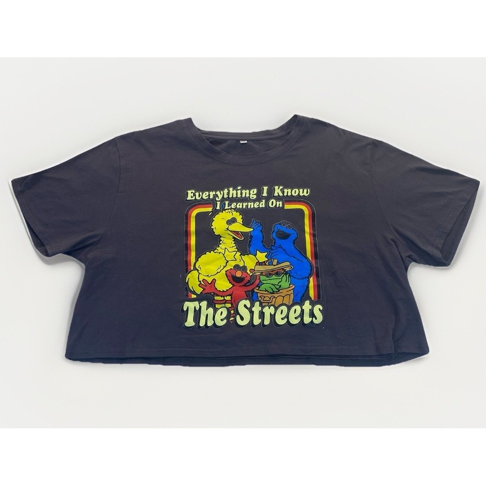 Sesame Street "Everything I Know I Learned‎ On The Streets" Crop Grey Tshirt 2XL